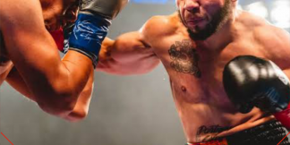 WBC ट्रांसजेंडर बॉक्सिंग कि कटेगॉगरी ला सकती है।  