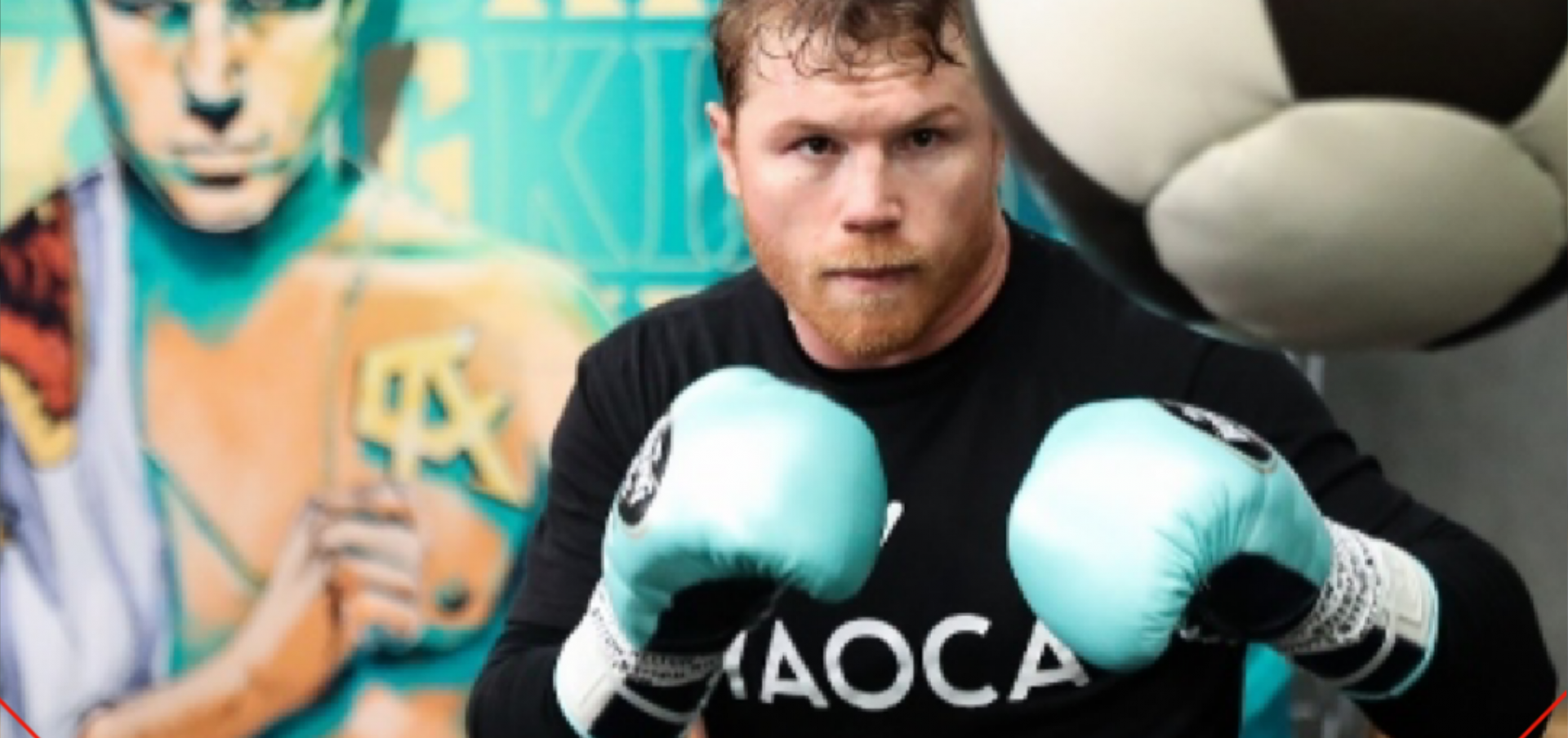 Canelo की हुई घर वापसी  