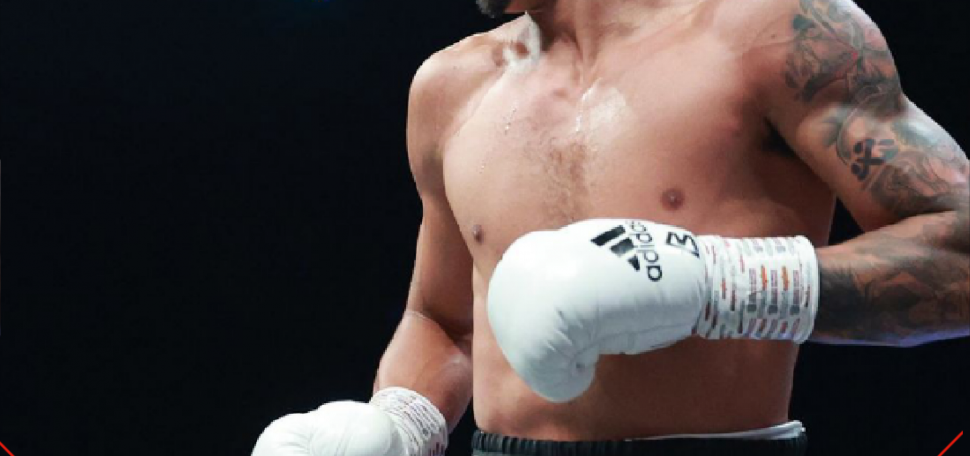 Whittaker एक दिन महान चैंपियन बन सकते है   Whittaker एक दिन महान चैंपियन बन सकते है