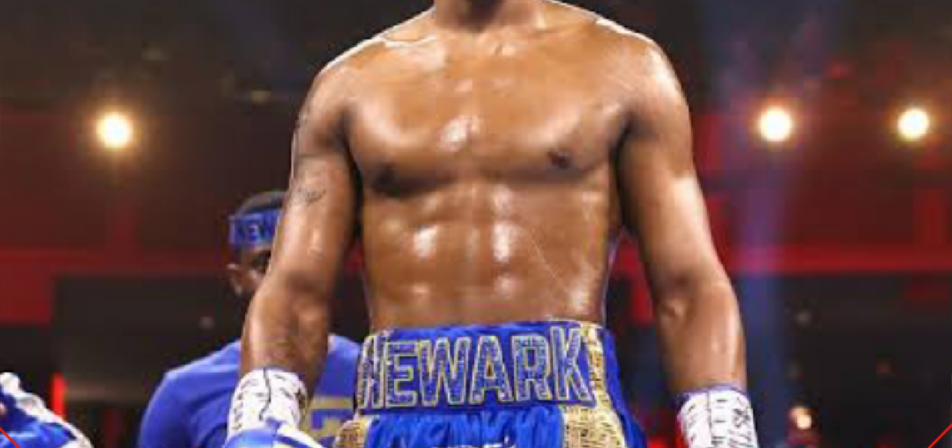 हैनी बनाम लोमचेंको के विजयता के खिलाफ स्टीवेंसन लड़ेंगे  