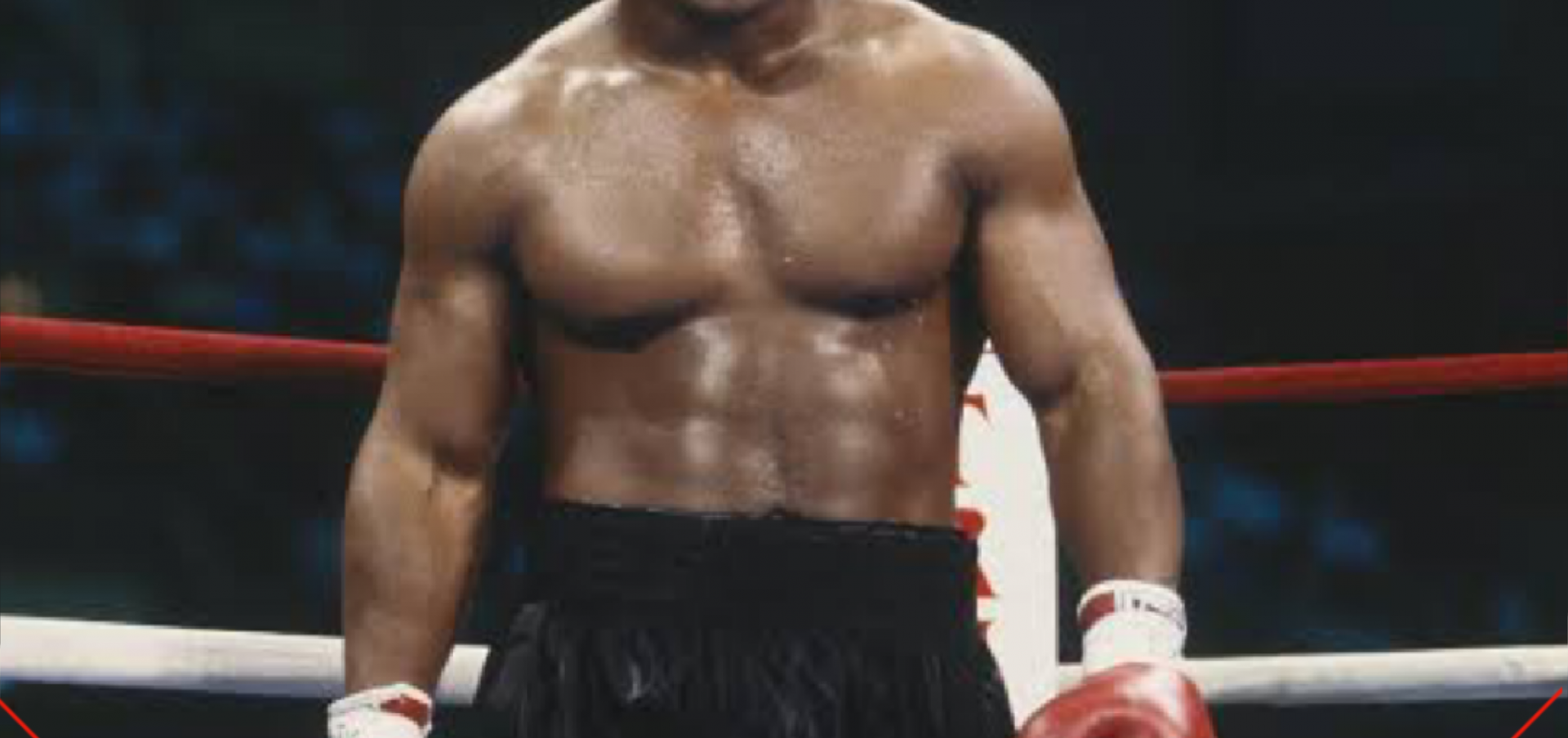 जानें उन बोक्सर्स के बारे मे जो सलाको के पीछे गए है  