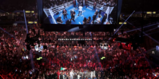 बॉक्सिंग अवार्ड्स के कही दावेदारों के नाम दिए गए  