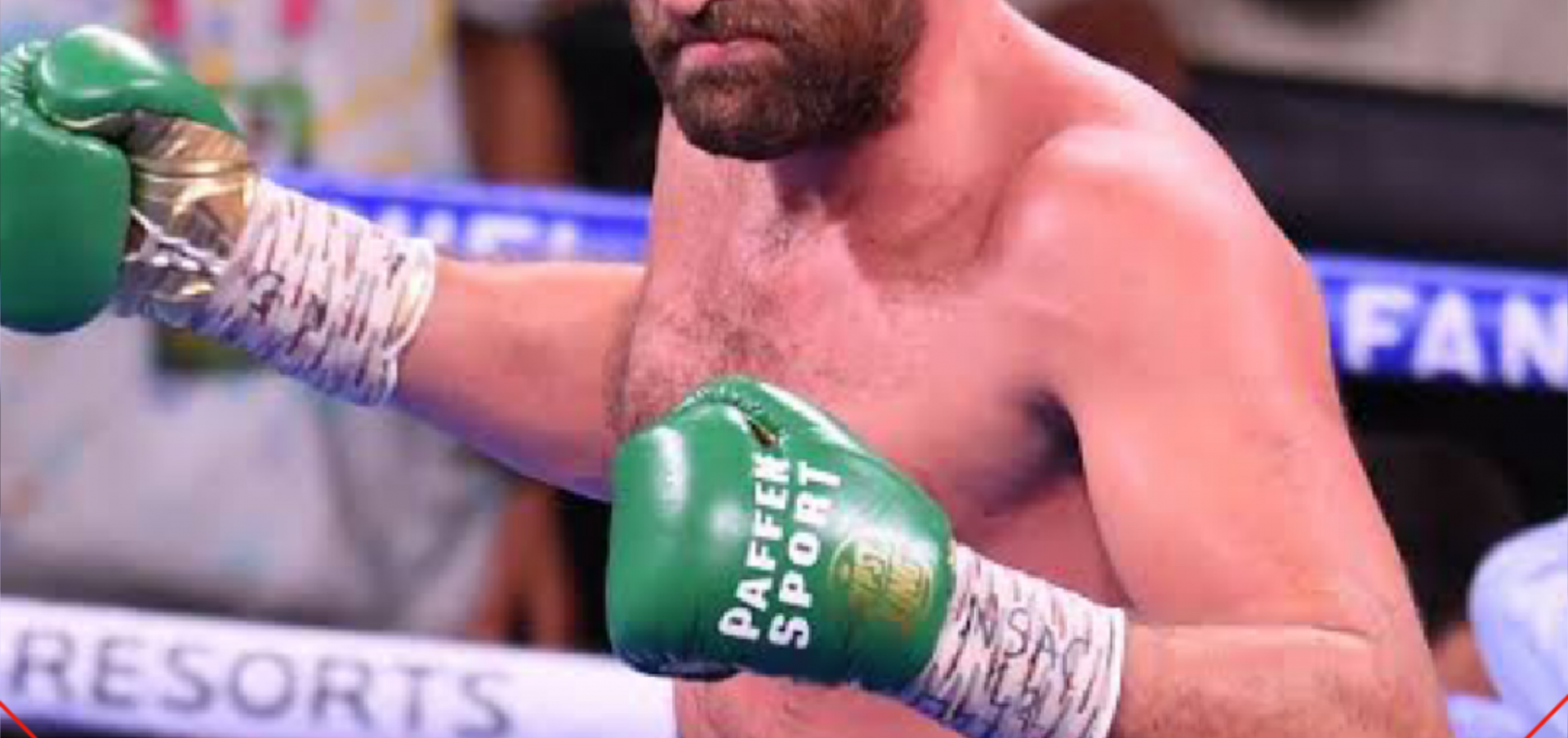 क्या होगा टायसन फ़्यूरि का अगला कदम  