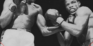 मुक्केबाज़ जो कभी भी नॉक आउट का शिकार नही हुए है  