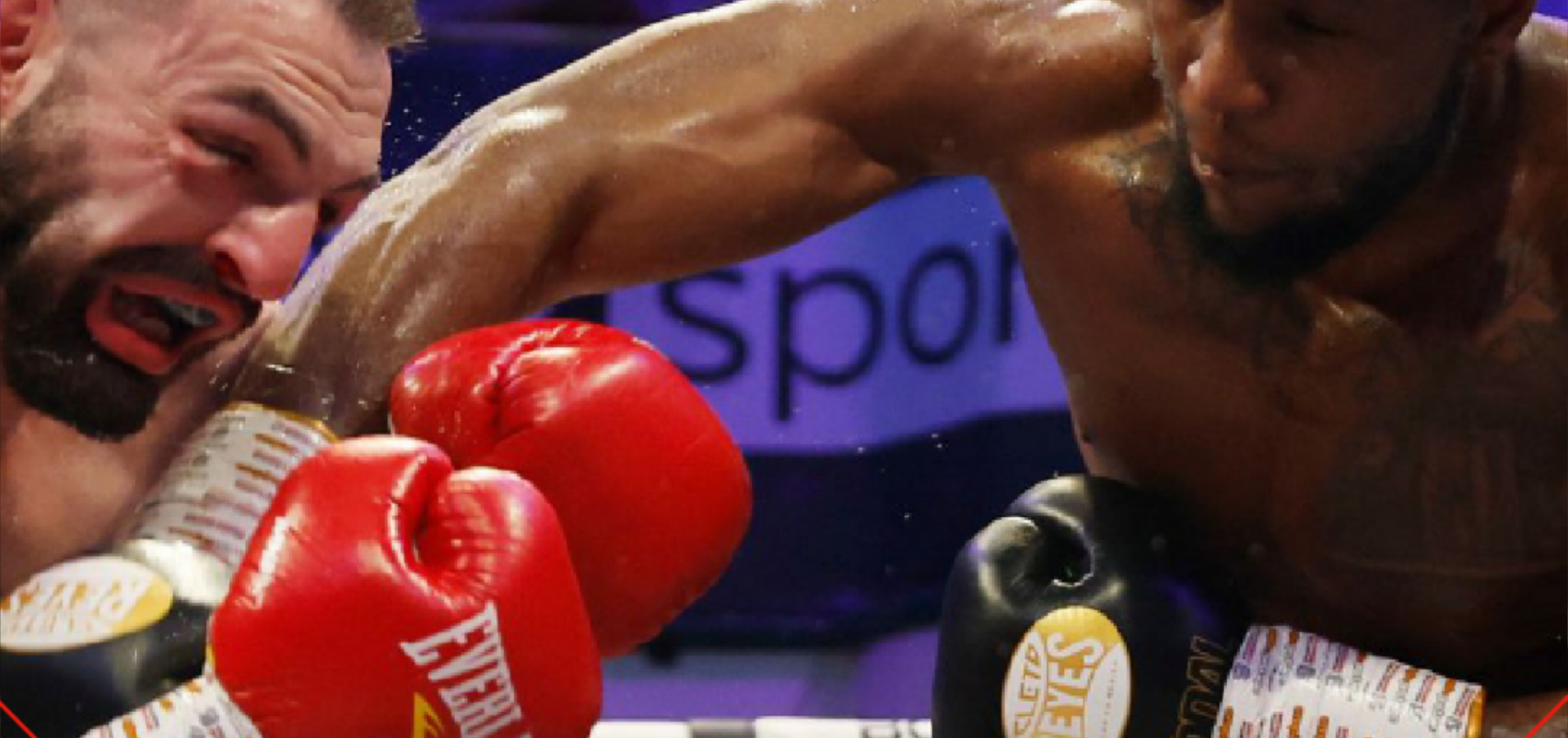 रिले ने कहा कि फ़्यूरि को मुझसे डर लग रहा है  