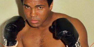 टॉप बोक्सरस् जो माने जाते है सबसे चतुर  