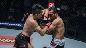 The Top 5 Muay Thai Elbow Combinations  