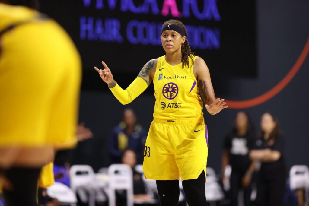 Out from the Closet: List of Lesbian WNBA players  