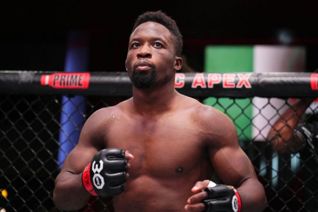 10 Best African MMA Fighters In UFC History  