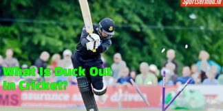 What is Duck is Cricket?  