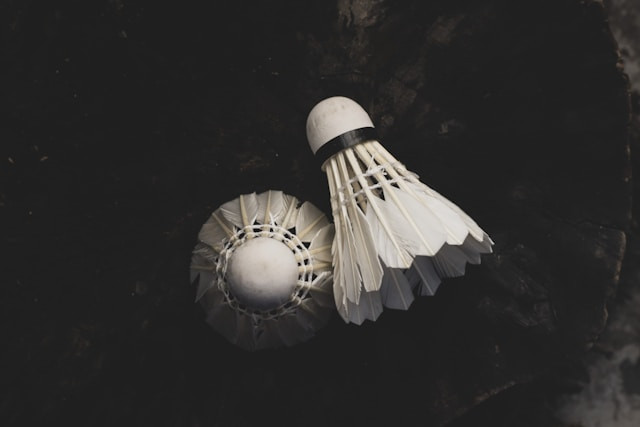 How to Set Up Your Own Backyard Badminton Court This Summer!   How to Set Up Your Own Backyard Badminton Court This Summer!