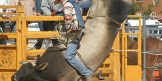 Top 10 Most Dangerous Sports in the World  