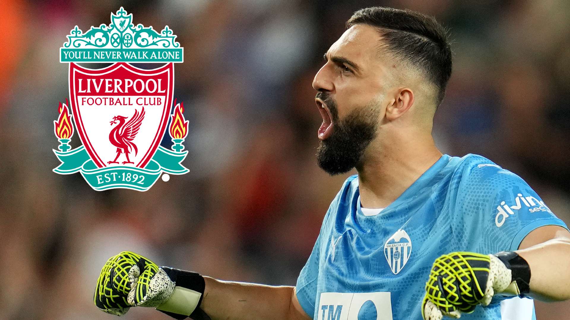 Mamardashvili for £29m is an absolute bargain  