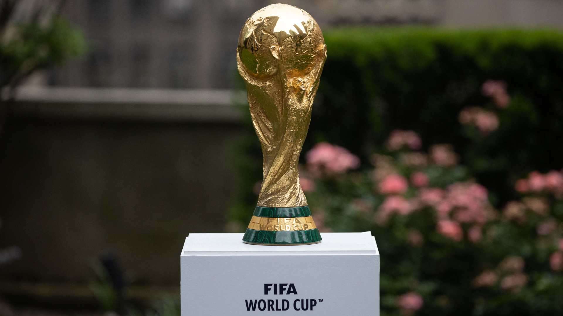 Saudi Arabia 2034: The 15 stadiums hoping to host World Cup   Saudi Arabia 2034: The 15 stadiums hoping to host World Cup