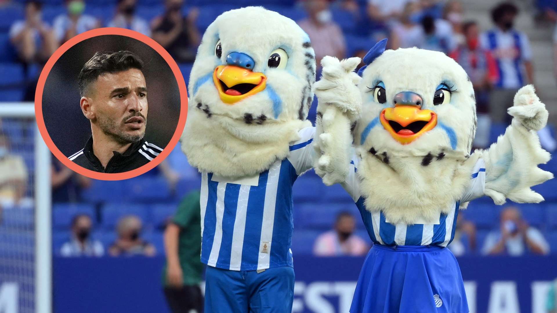 Mallo guilty of sexual assault after groping breasts of mascot   Mallo guilty of sexual assault after groping breasts of mascot