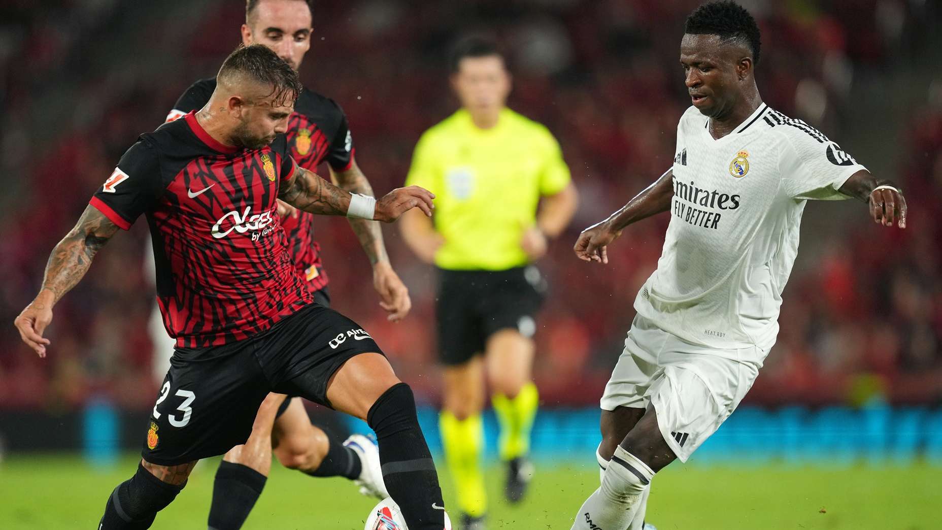 'You're terrible, you're going home!' - Vinicius taunts Maffeo  