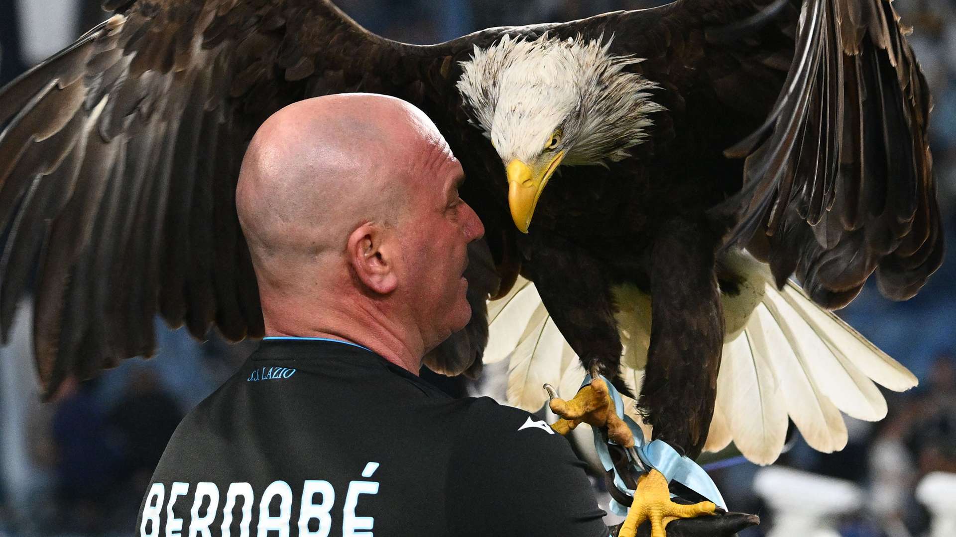 'Shocked' Lazio sack falconer for showing off prosthetic penis  