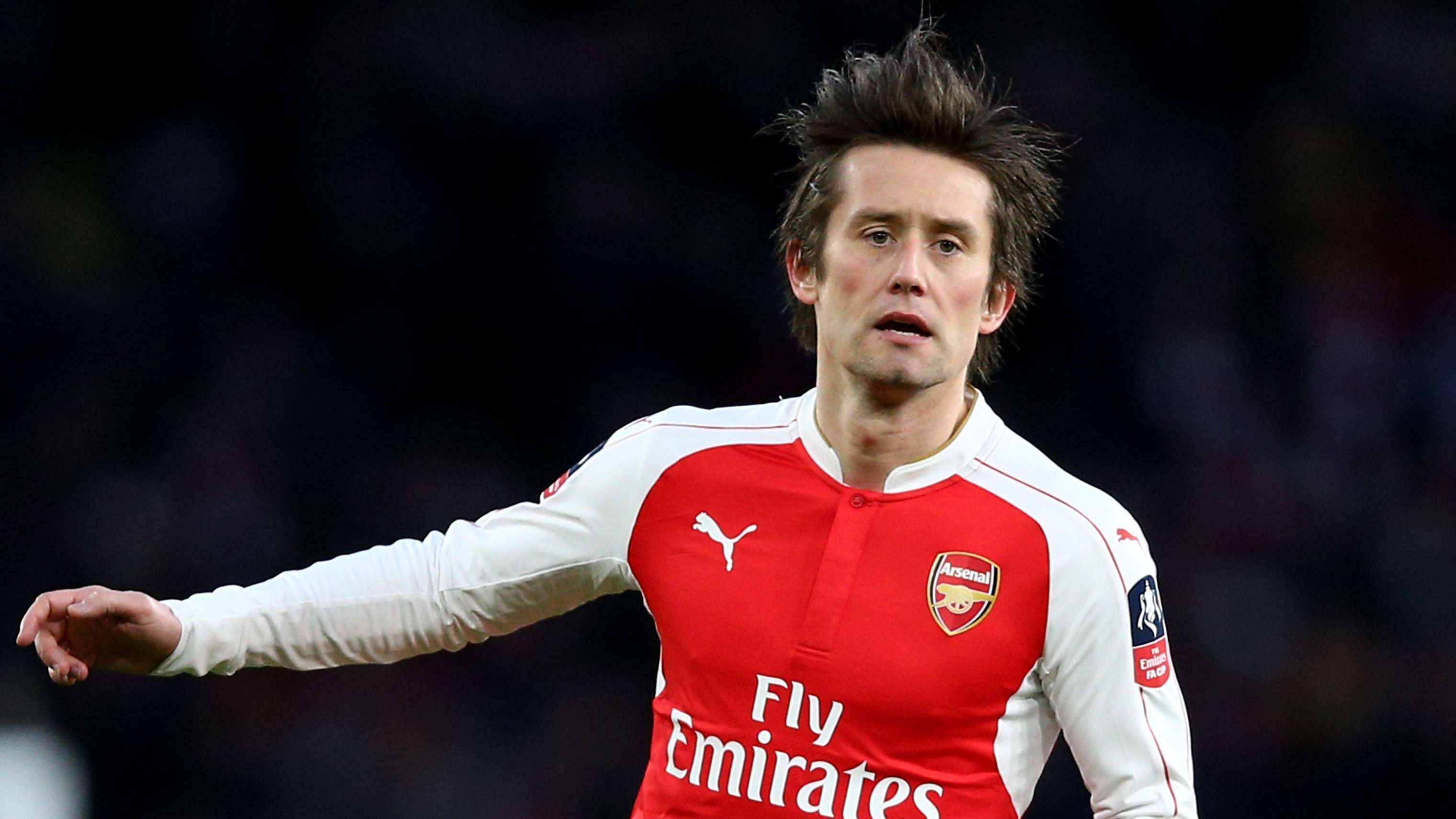 Arsenal identify Rosicky as a 'contender' to replace Edu  