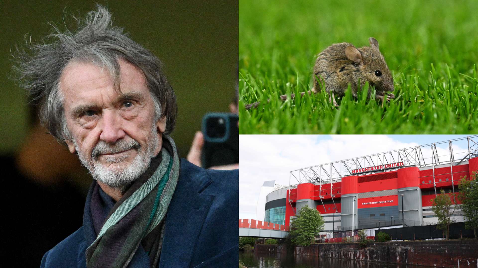 Man Utd hit with two-star food hygiene rating - again!  