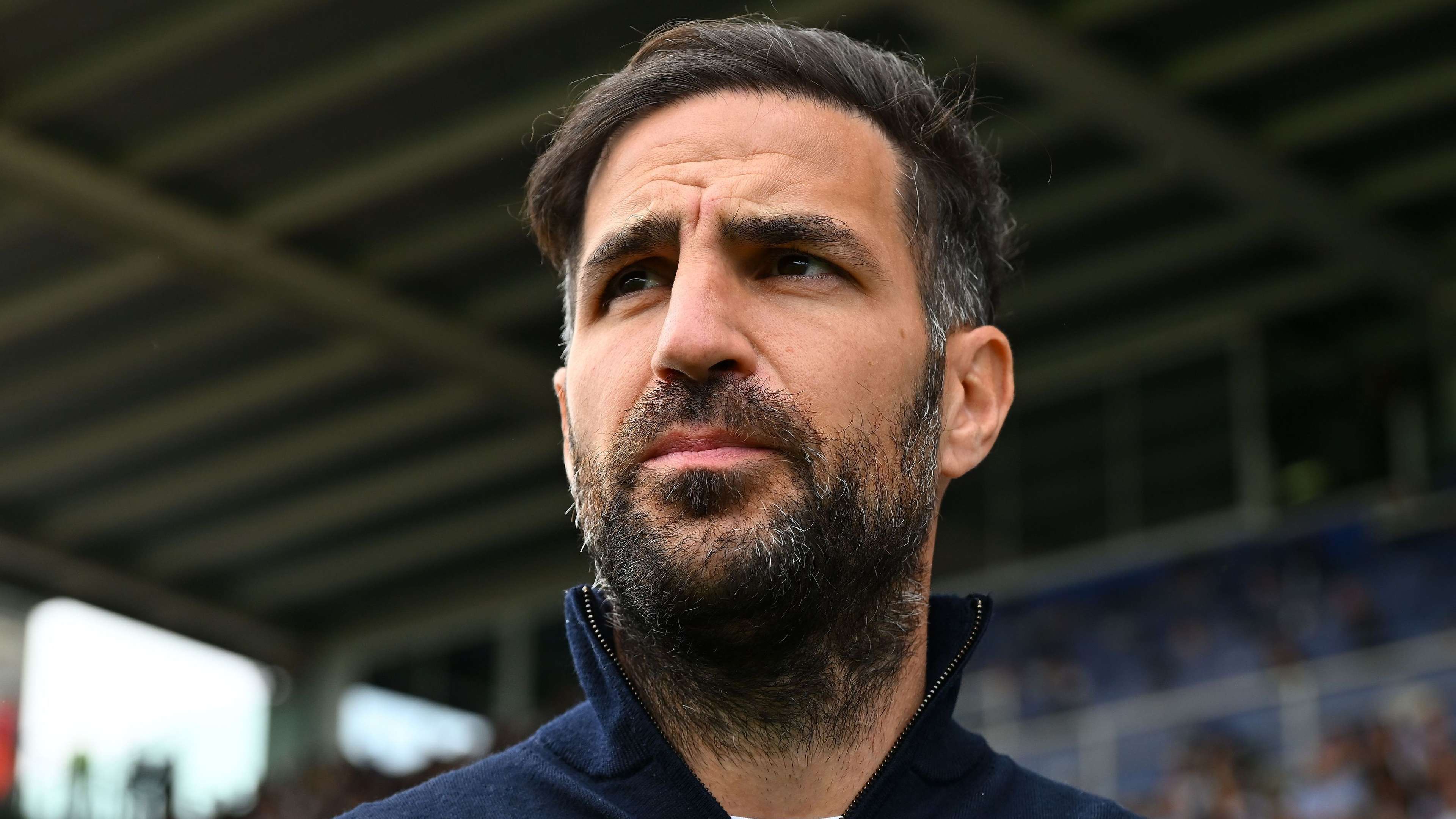 Fabregas turns down another job offer after Roma talks   Fabregas turns down another job offer after Roma talks