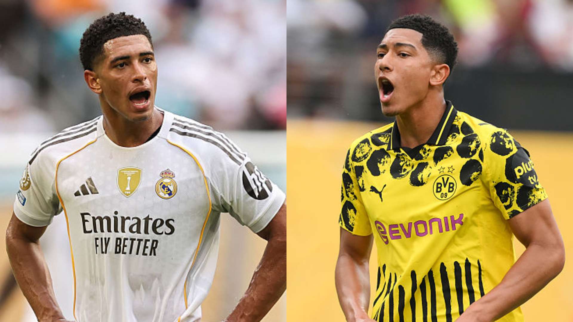 Bellingham brothers CWC showdown off after 'surprise' Jobe ban  