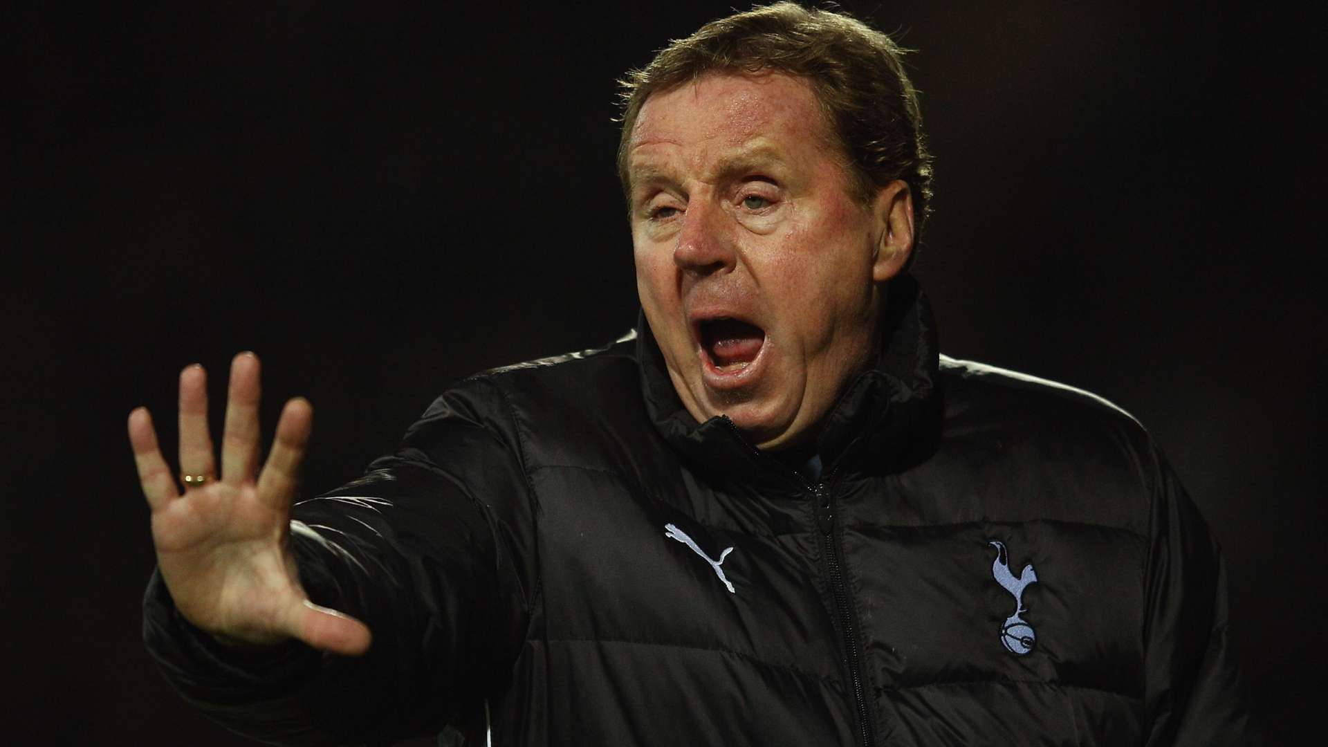 Redknapp sees £5m home targeted by hammer-wielding thieves  