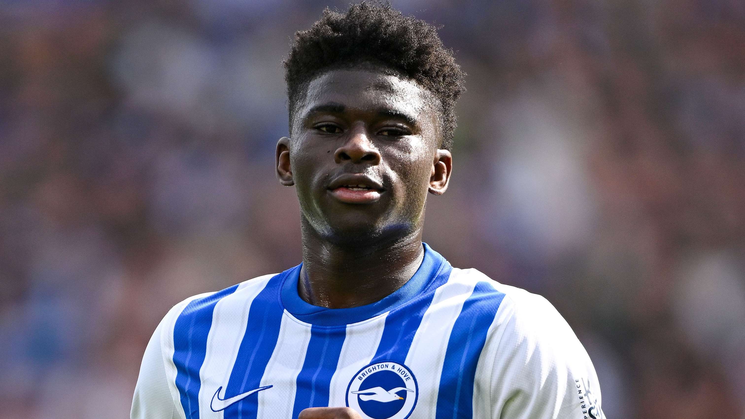 Brighton 'very, very confident' of keeping Baleba   Brighton 'very, very confident' of keeping Baleba