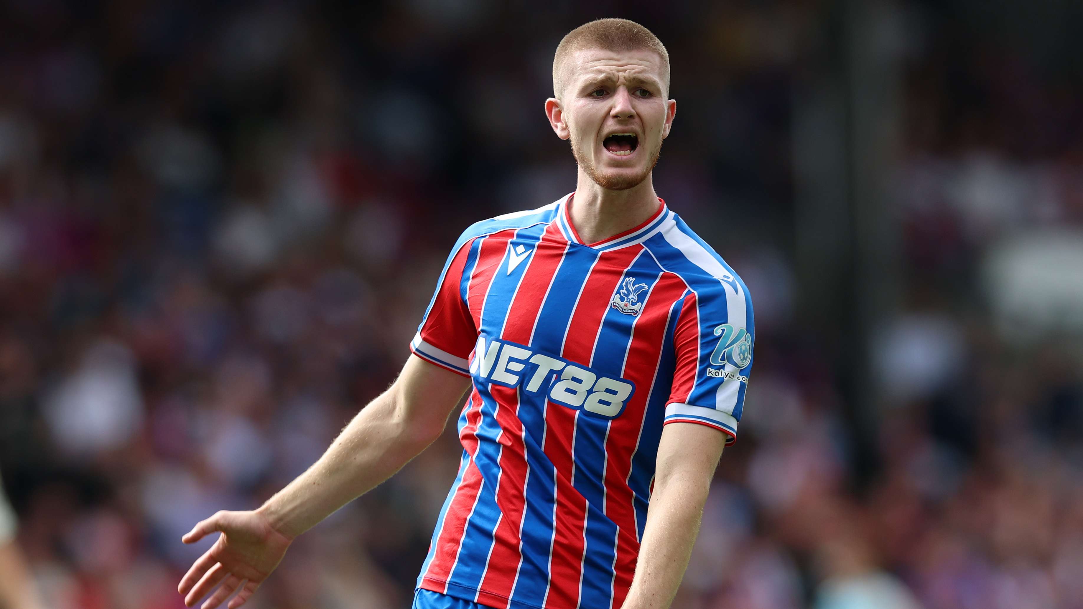 Chelsea add Palace's Wharton to transfer targets Chelsea add Palace's Wharton to transfer targets