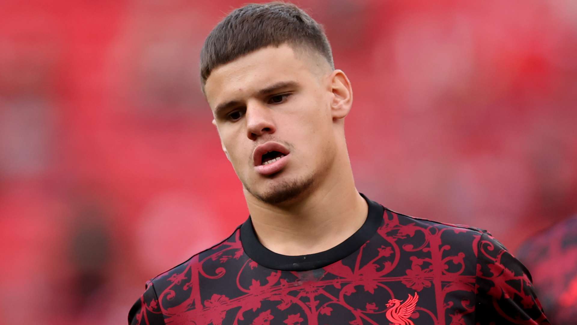 'Muppet' Kerkez told he has 'mashed potato for brains'  