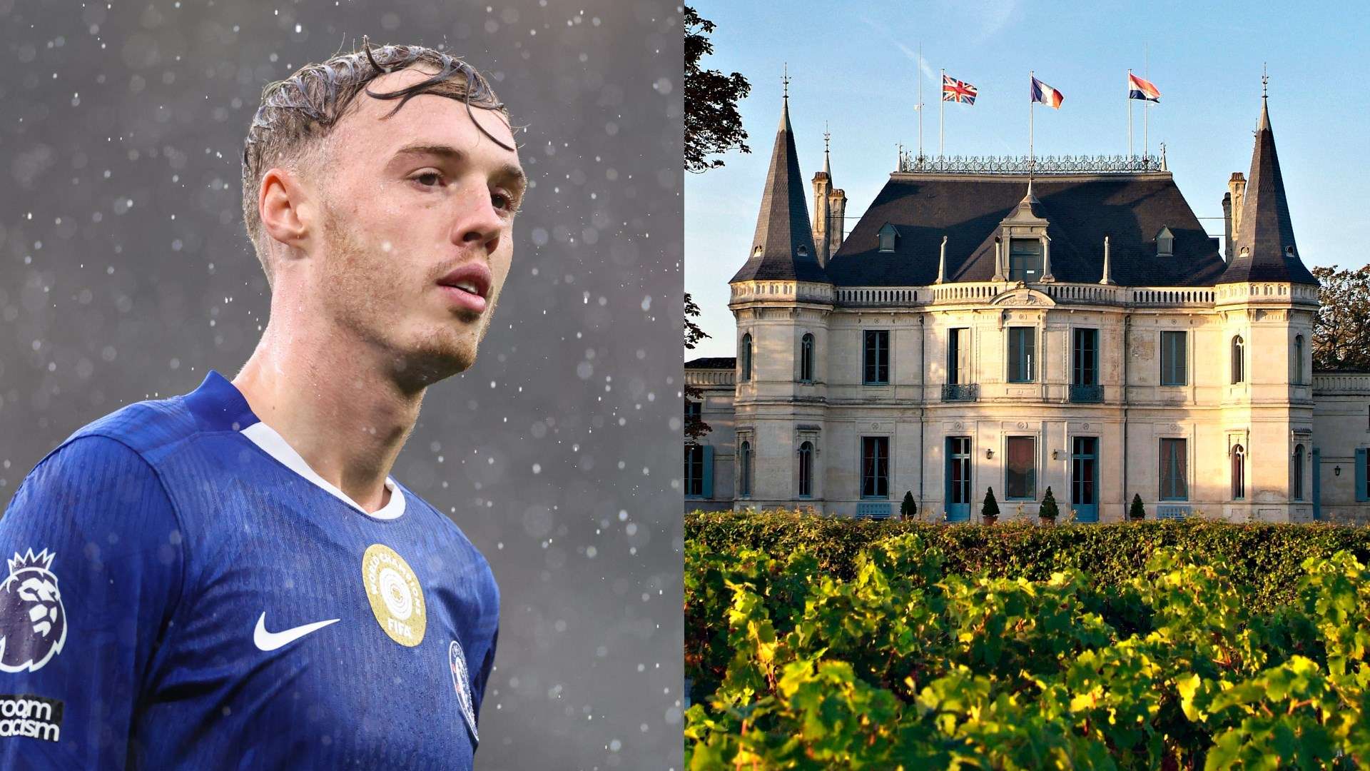 Palmer sees trademark application blocked by French vineyard  