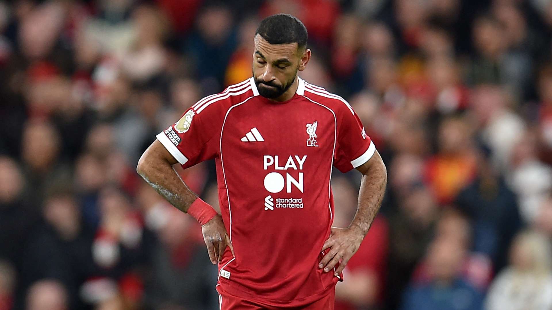 Nottingham Forest replacement for Postecoglou revealed  