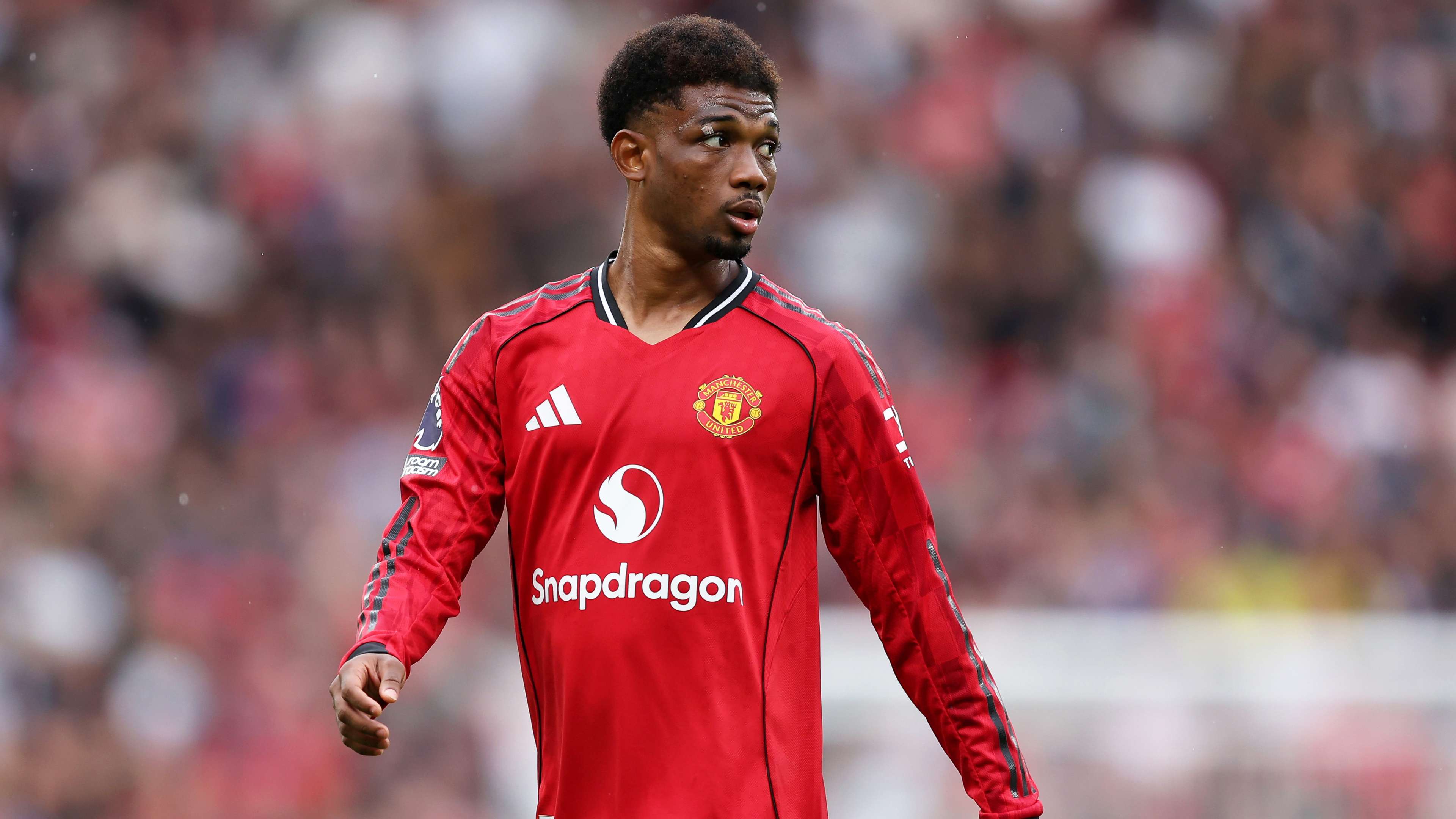 Why Man Utd were denied 'blatant' penalty against Brighton   Why Man Utd were denied 'blatant' penalty against Brighton