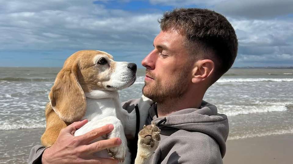 Ex-Arsenal star Ramsey offers reward for missing dog Halo   Ex-Arsenal star Ramsey offers reward for missing dog Halo
