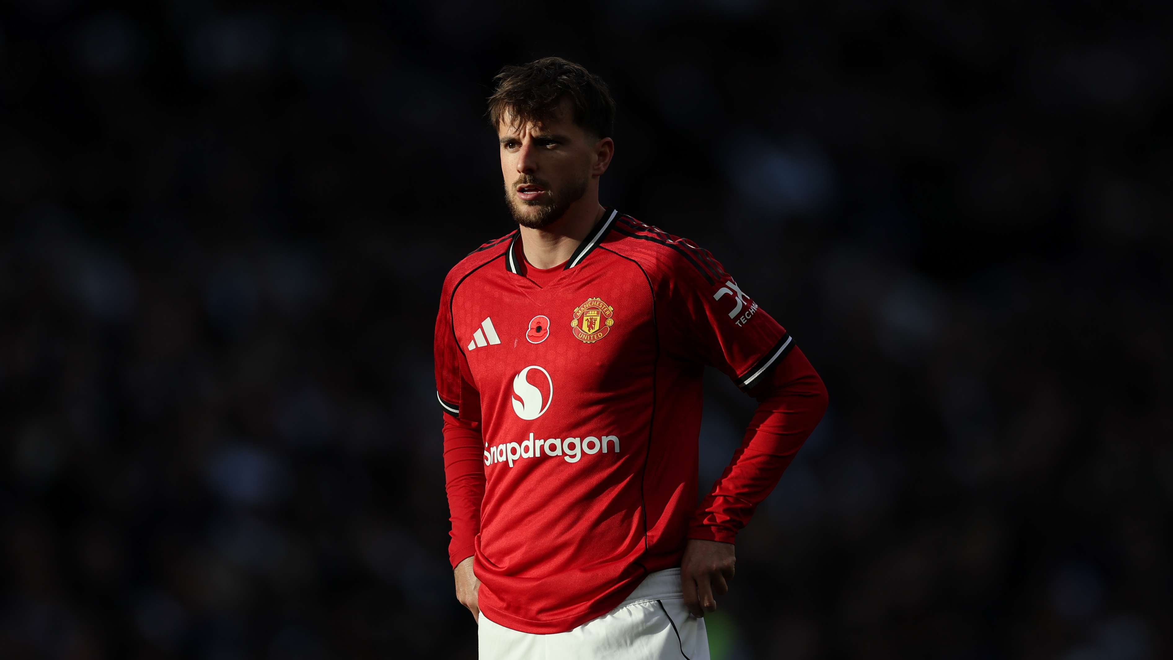 Spurs fan arrested for alleged verbal abuse of Man Utd's Mount  