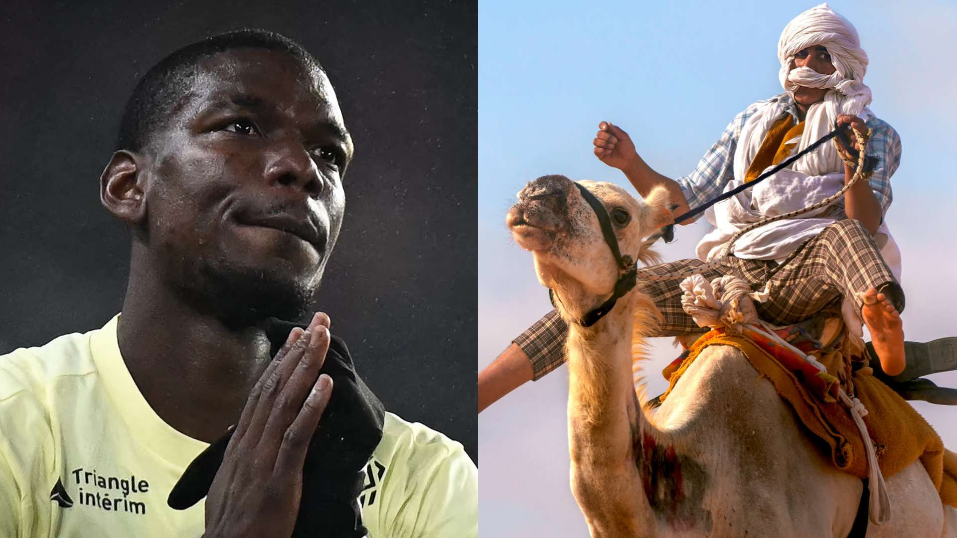 Pogba reveals love of camel racing after buying stake in Saudi team  
