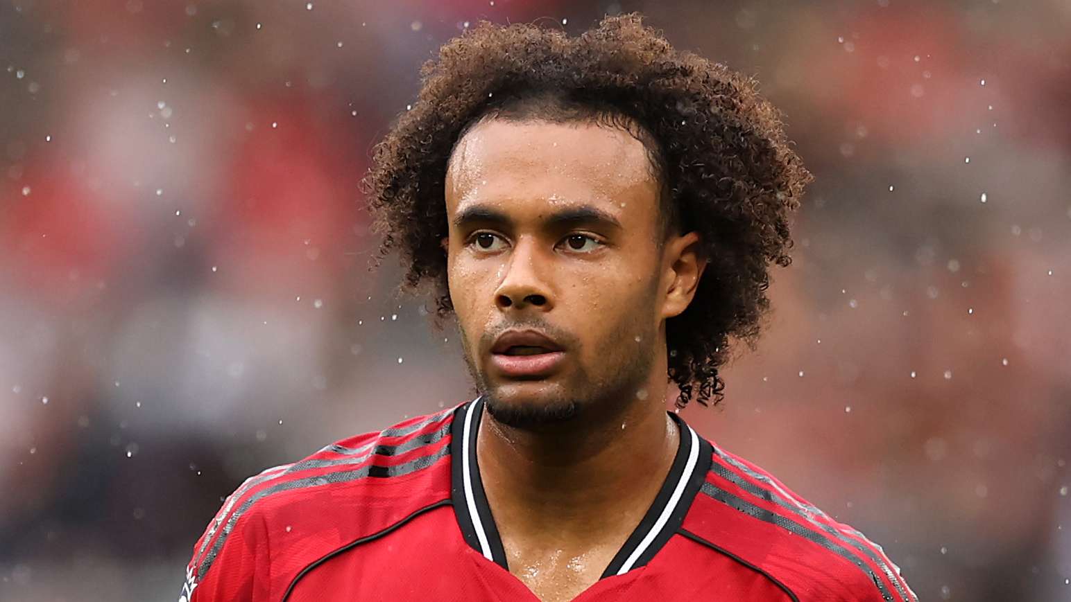 Zirkzee's move on ice as Man Utd make new transfer decision  