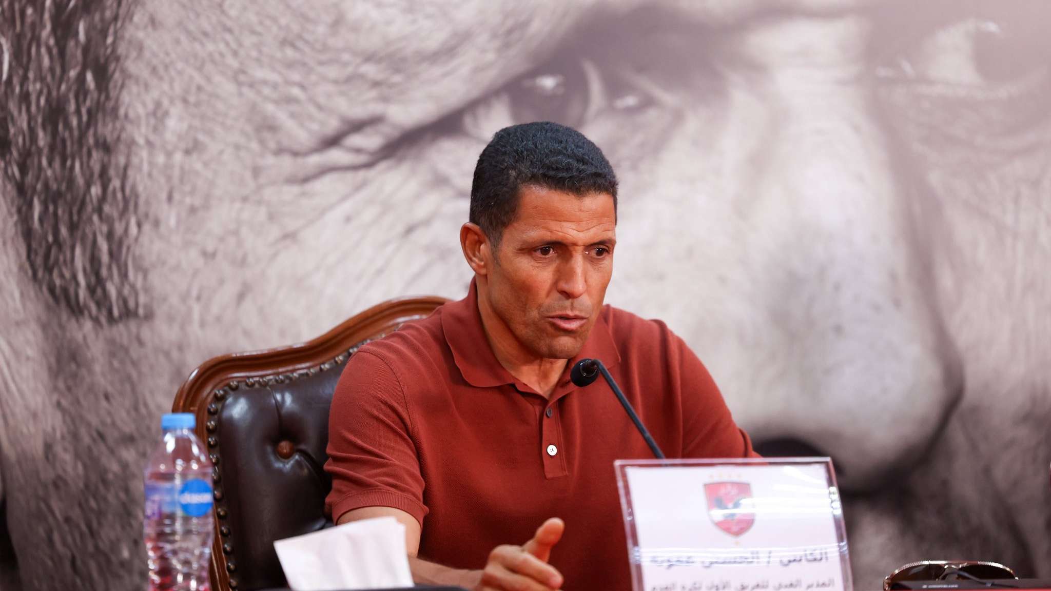 Amrouche: Beating Zamalek is not easy, and we cannot forget what El Shenawy produced  